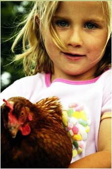 Lowenna with the chickens