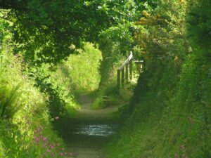 Green Anthony Head Path